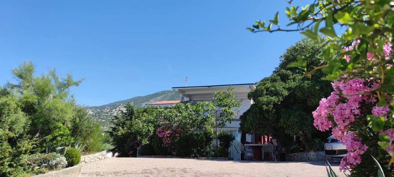 Haus Toma Cesarica